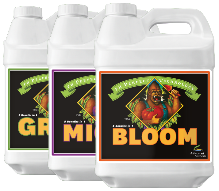 ph Perfect® Bloom - Black Label Supply llc