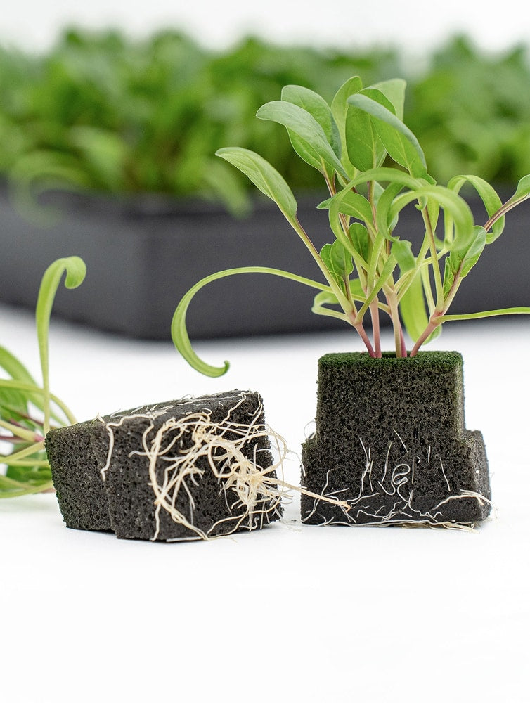 Oasis® AeroSelect™ PlugSheet