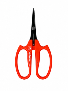 Chikamasa - Precision & Florist Scissors