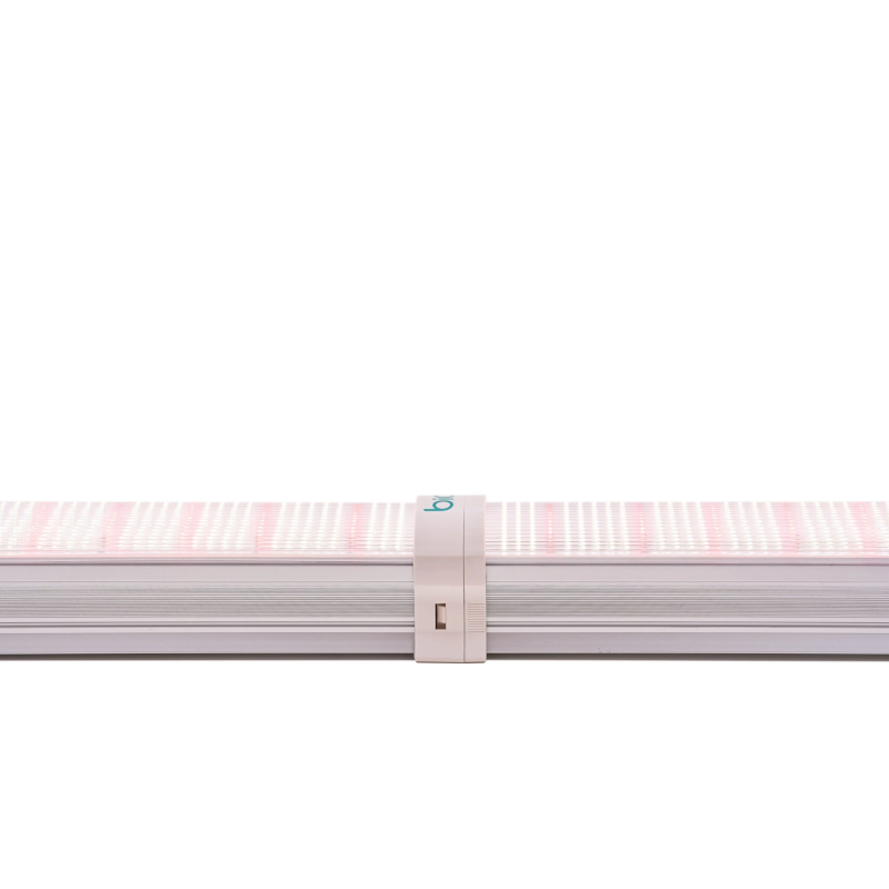 BIOS Under Canopy LED & Components