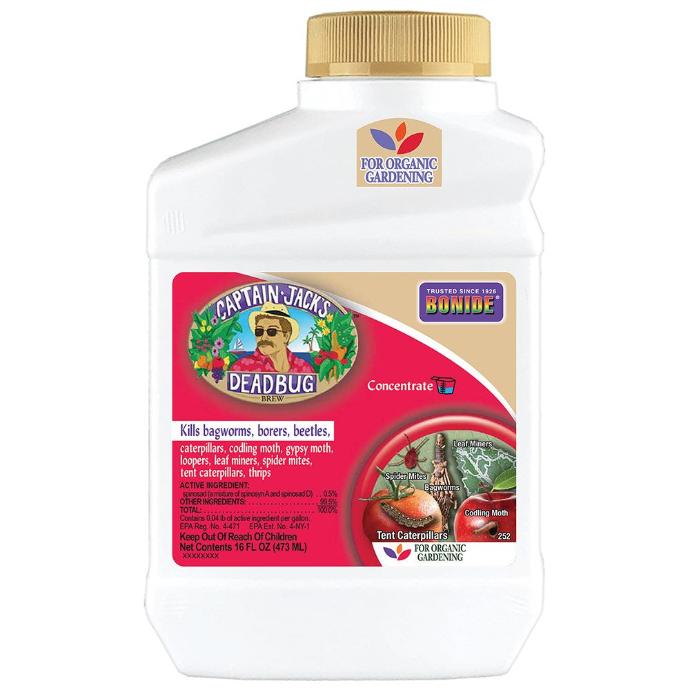 Captain Jacks Pt Dead Bug Brew Concentrate