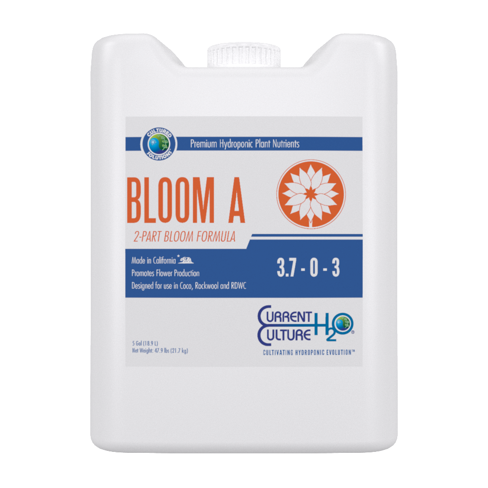Current Culture CSBLOOMA5 - 5 Gal