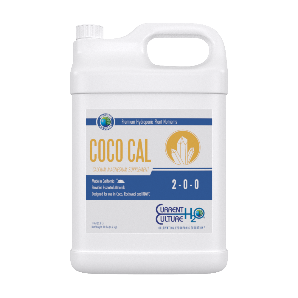 Current Culture CSCOCOCALGAL - 1 Gal