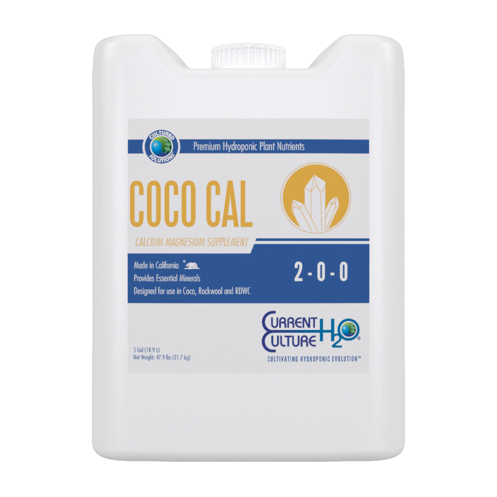 Current Culture CSCOCOCAL5 - 5 Gal