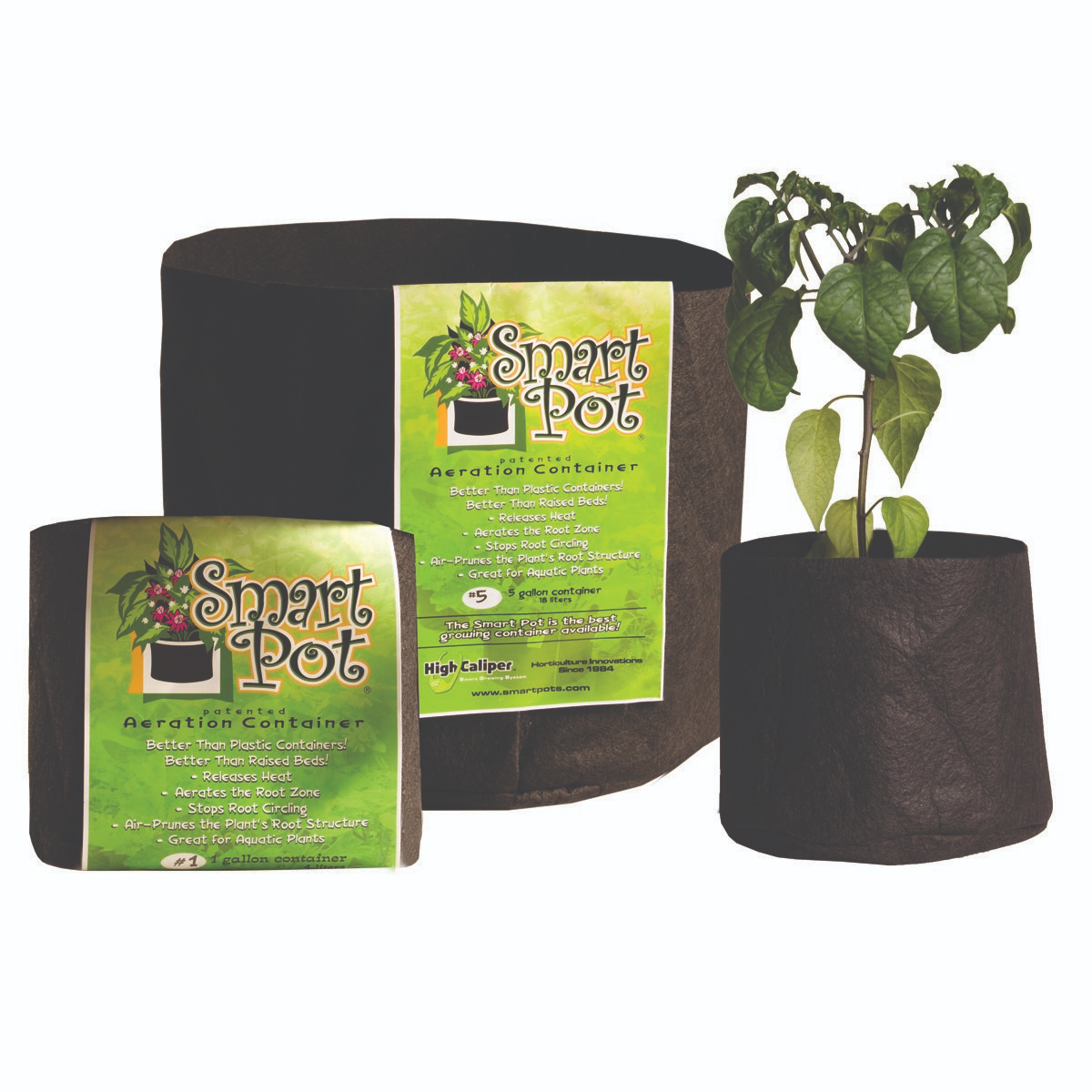 Smart Pot® Original Fabric Planter - 300gal - Black - No Handles - 60in x 24in - 39.27 cu. ft.