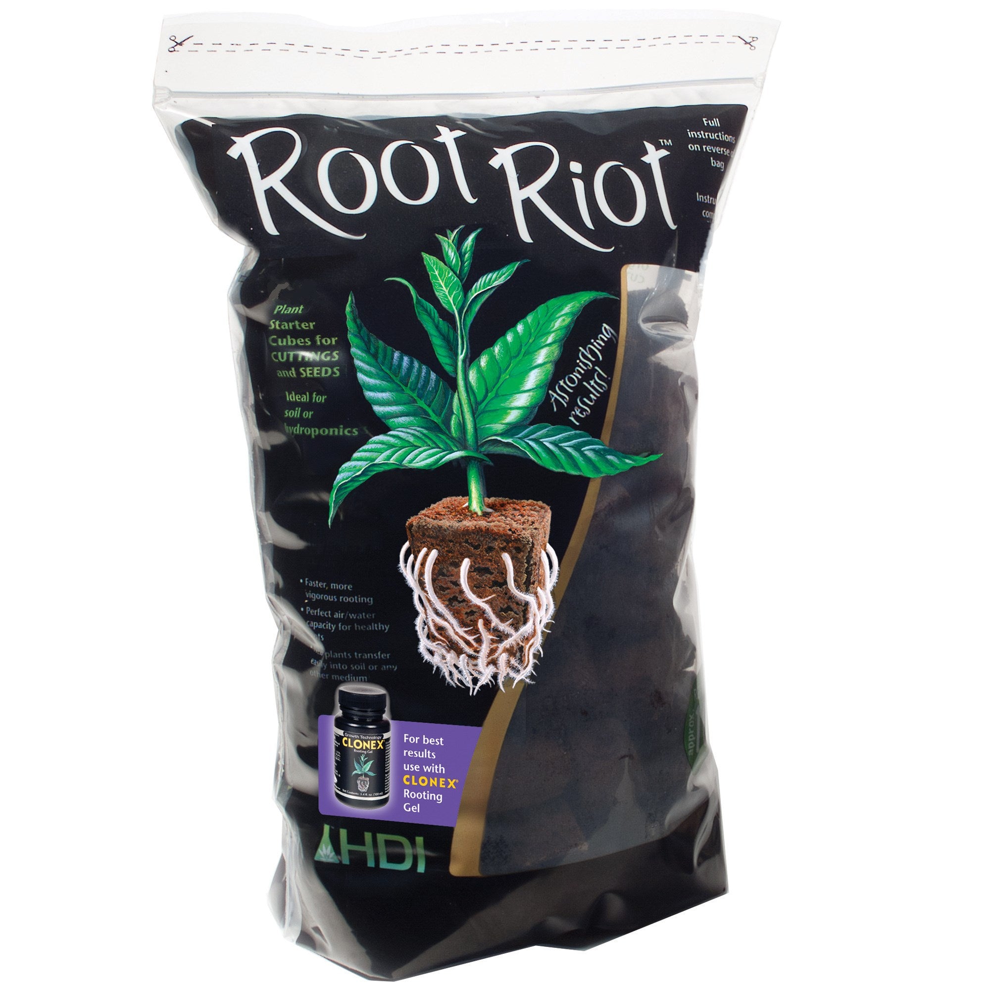 Root Riot Starter Cubes 100 bag by Hydrodynamics