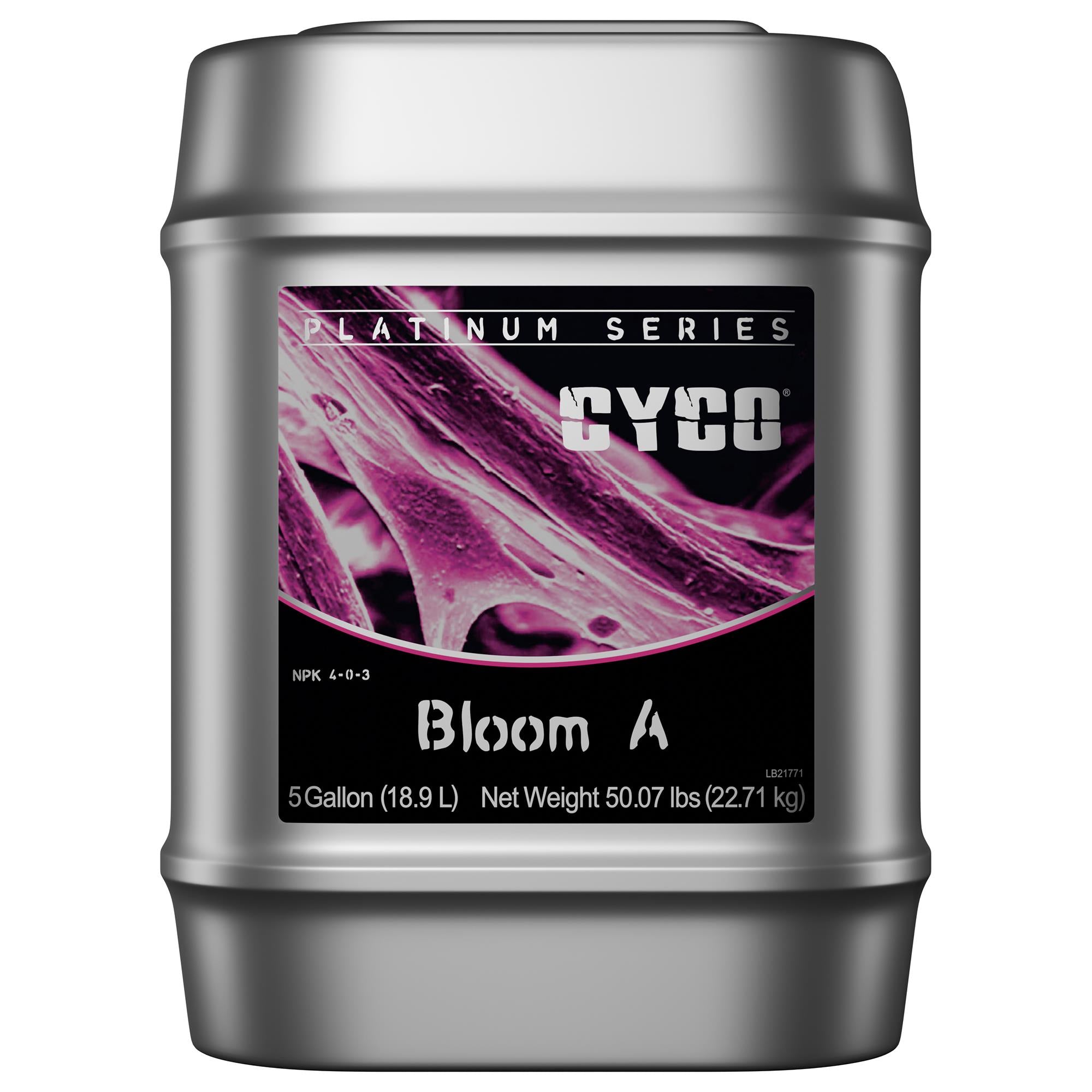 Cyco - Bloom A