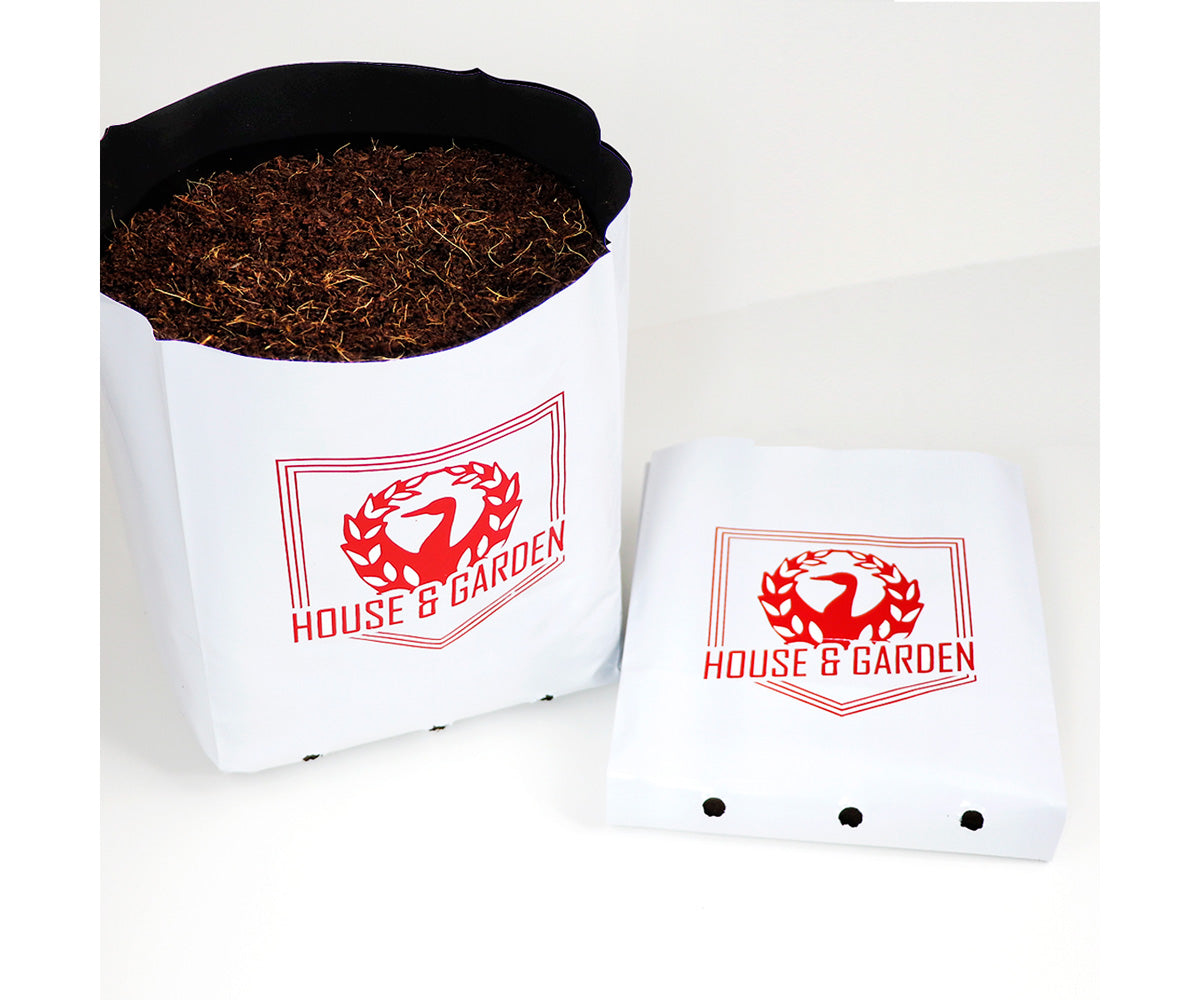 House & Garden - Coco Pot - HGCP1G