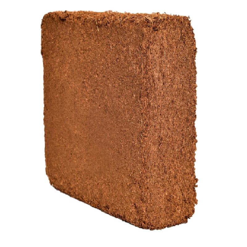 HortGrow Coco Coir 5 kg Blocks