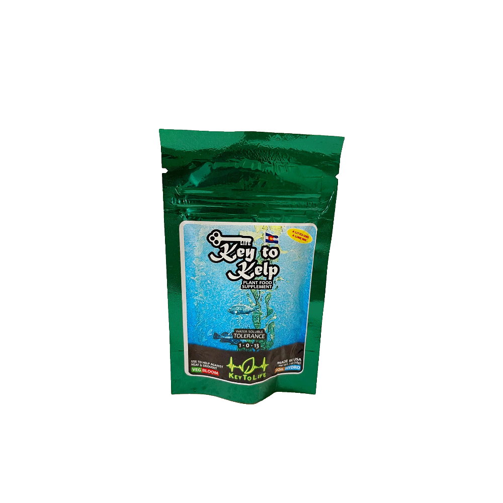 Key To Life - Kelp