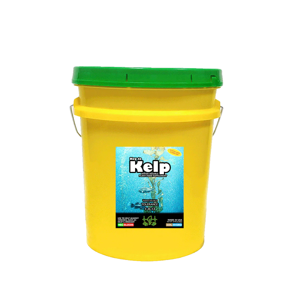 Key To Life - Kelp