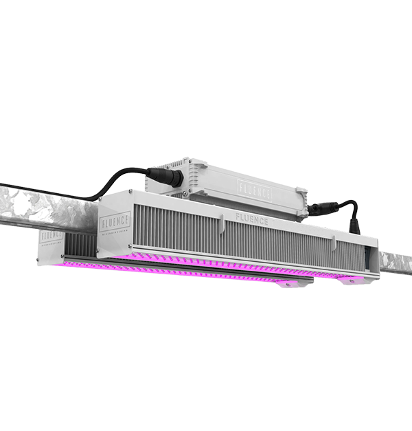 Fluence VYPR 3 Series LED