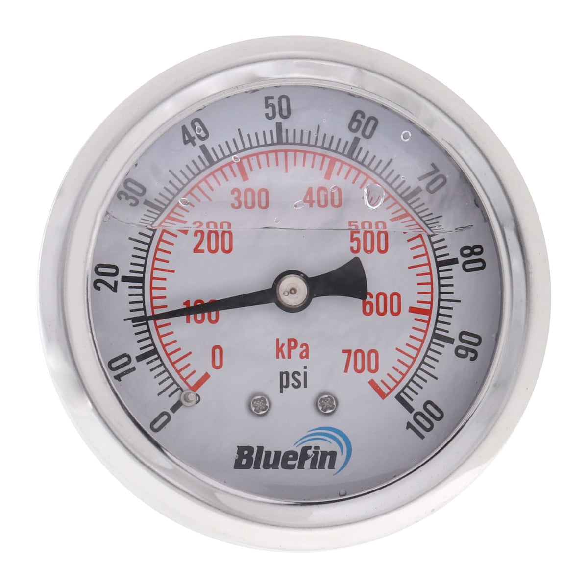 Bluefin 2.5 in Stainless Steel Liquid-Filled Pressure Gauge, Back Mount, 0-100 PSI - view 1