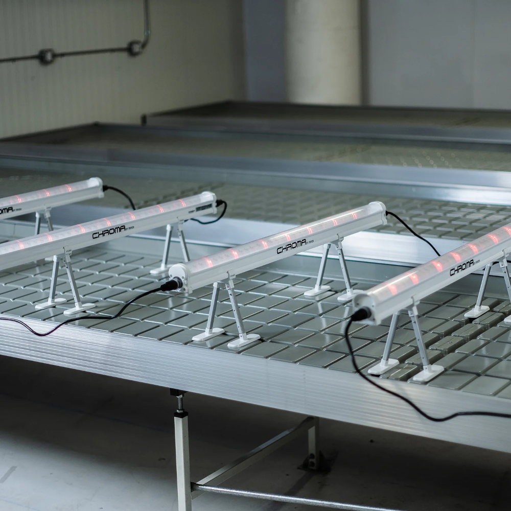 Faven Chroma Under Canopy Light