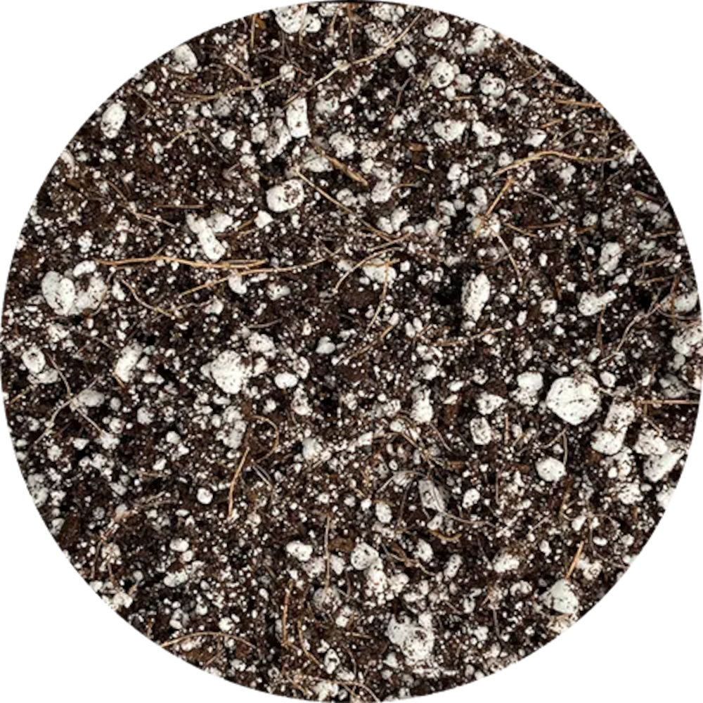 bio365 - BIOLITE Grow Bag - 1.25 Gallon