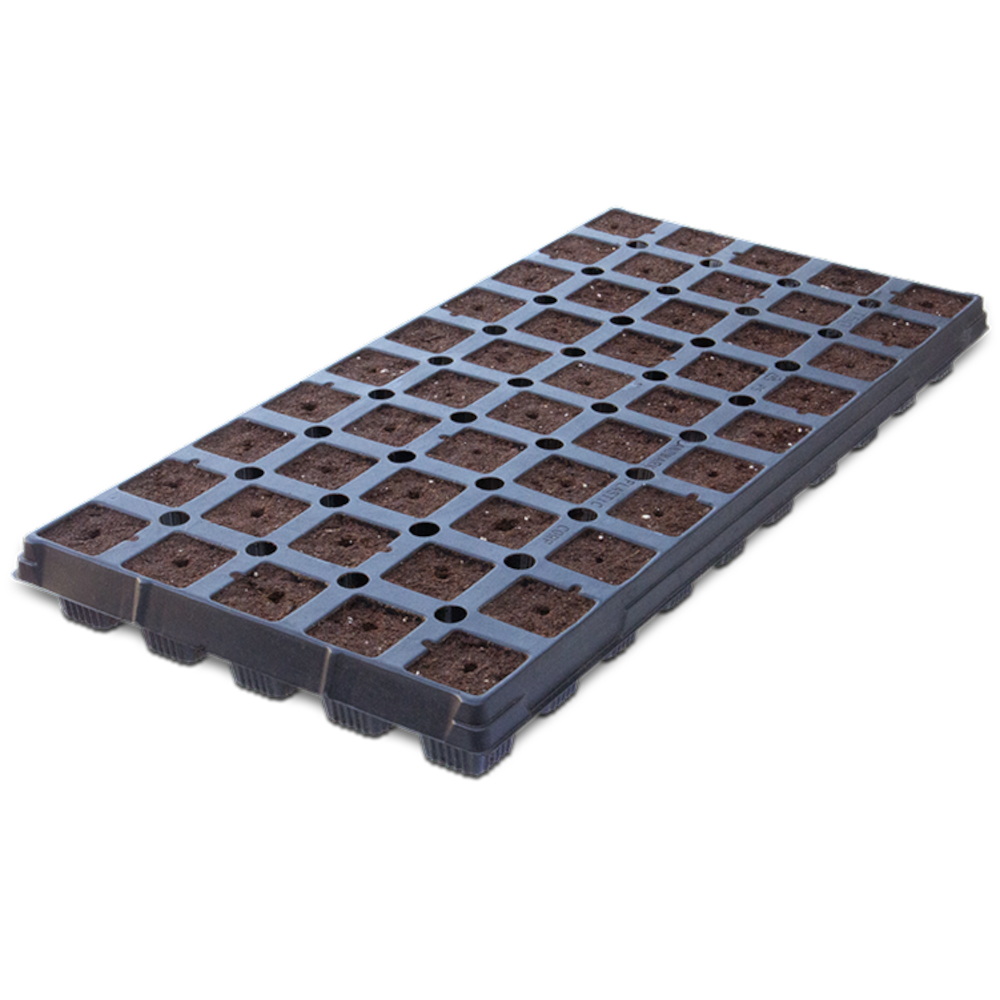 IHORT T50 Excel Plug Tray