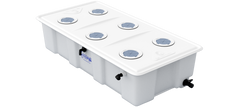 Current Culture - UC Solo Comm DWC System