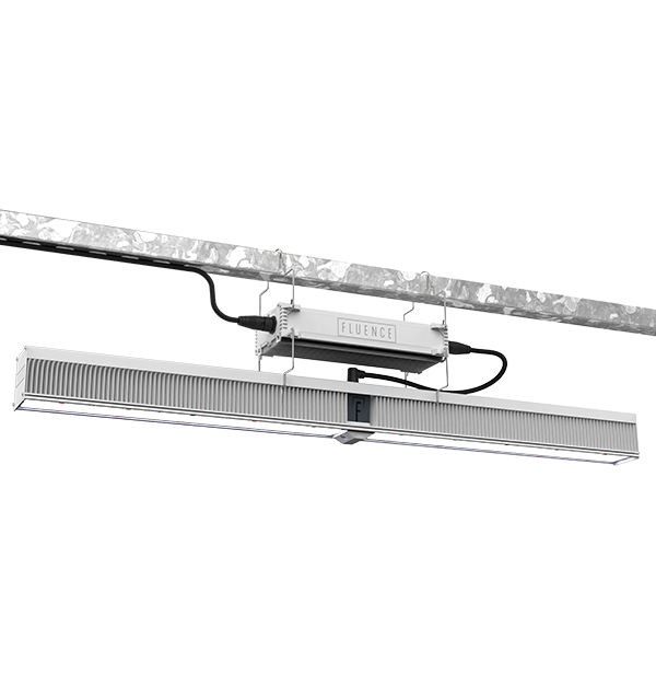Fluence VYPR 3 Series LED