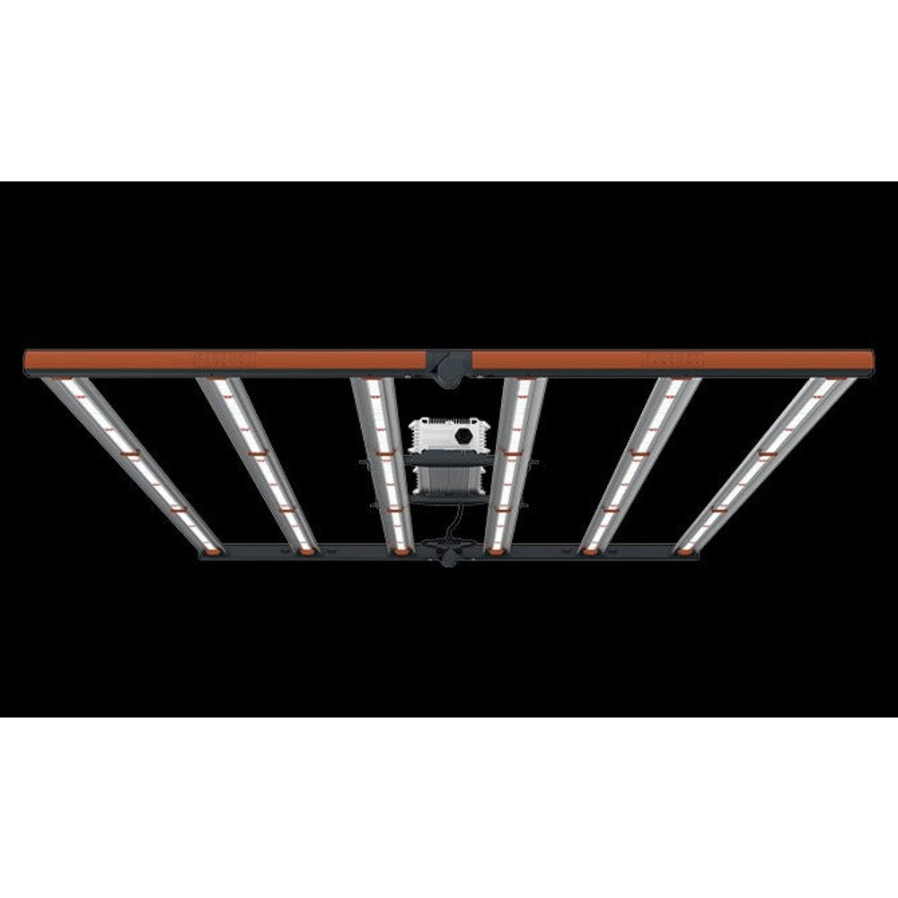 Fluence SPYDR FANG LED – LED - Bar Style
