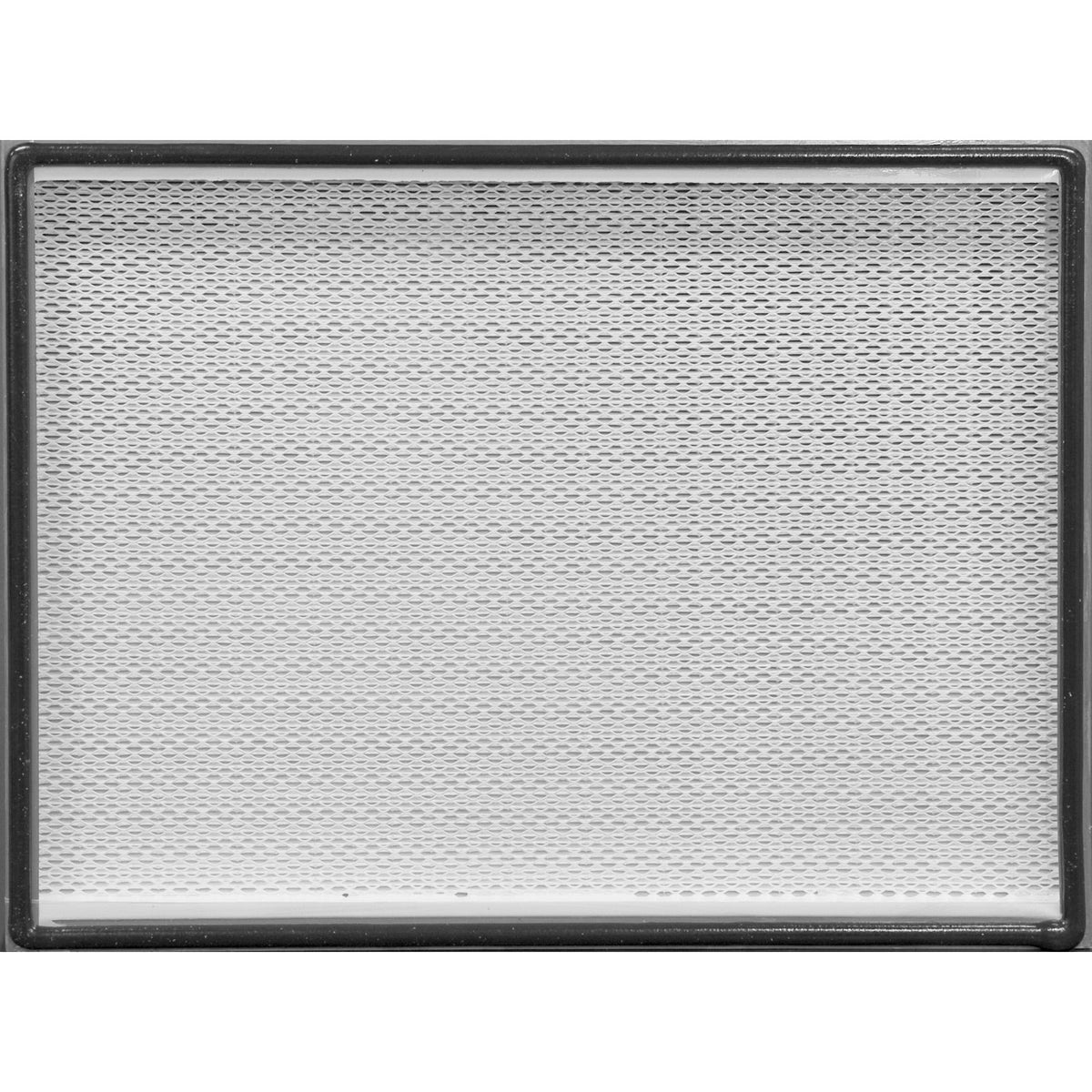 Abatement H2418-99 99.97% HEPA filter - face view