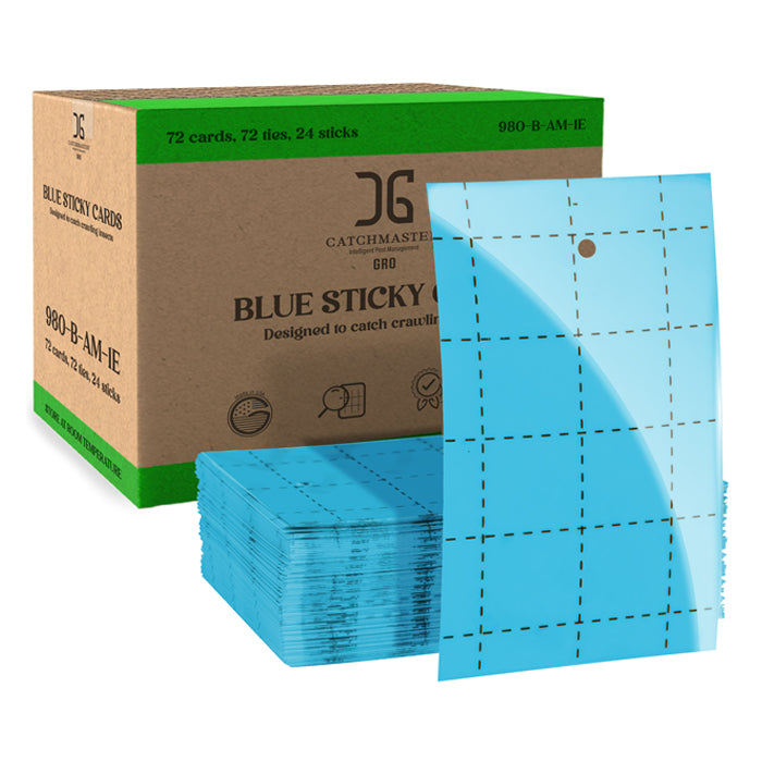 Sticky Cards Blue