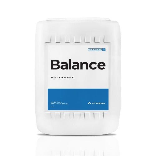 Athena - Balance - Black Label Supply llc