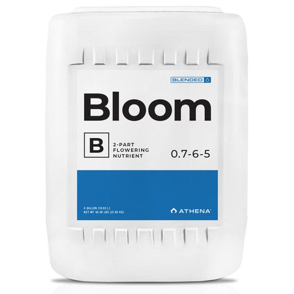 Athena - Bloom B - Black Label Supply llc