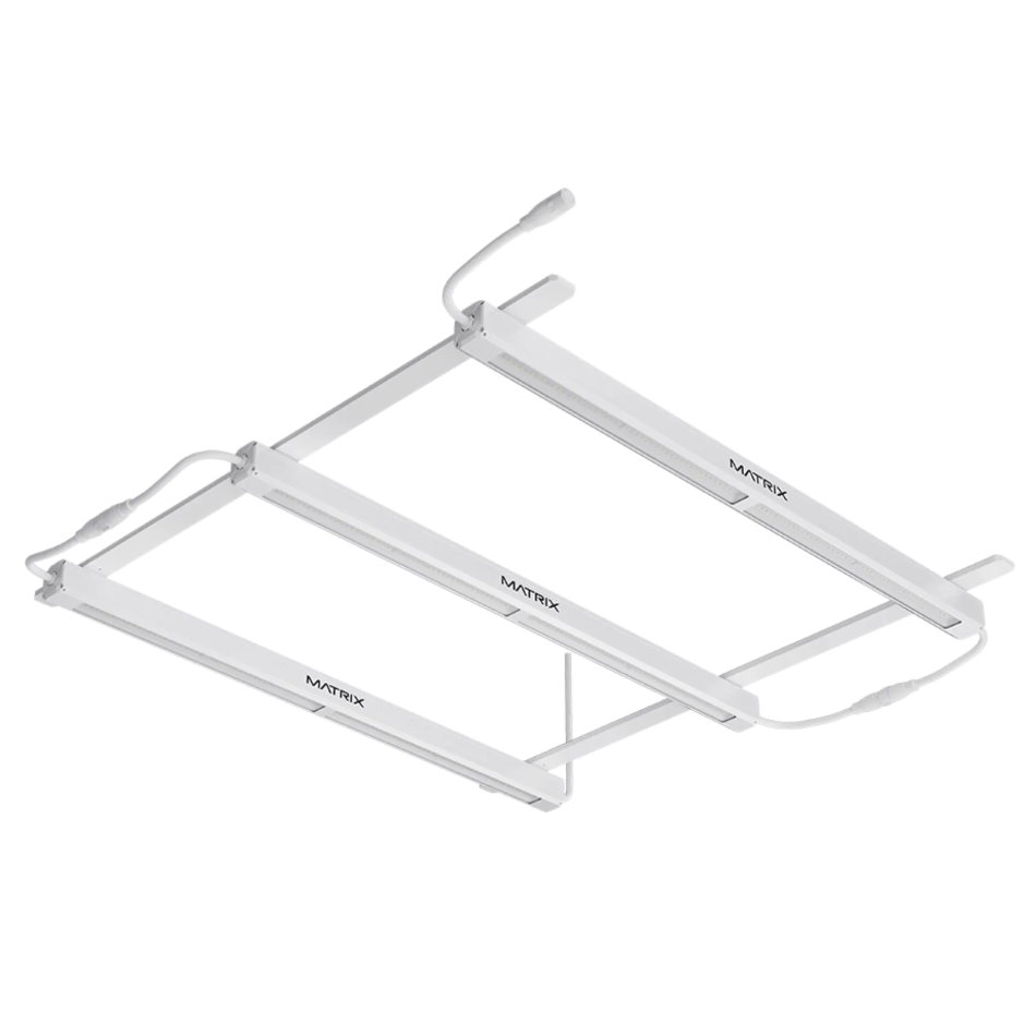 Matrix Linear Toplight
