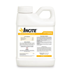 Performance Nutrition - Incite