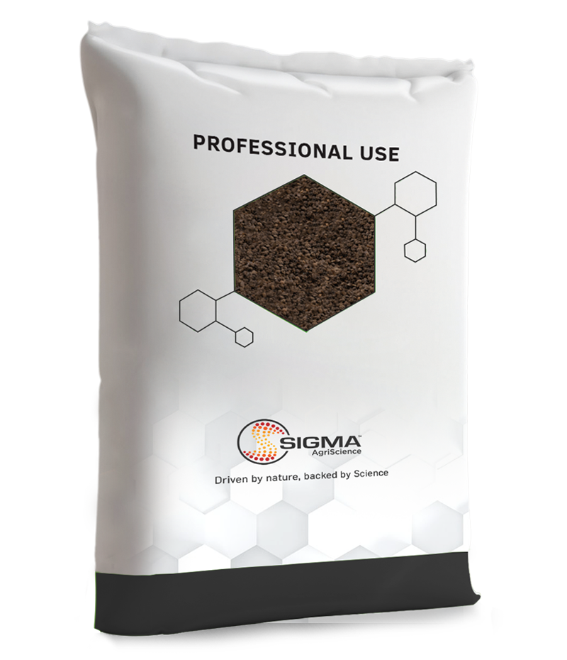 Sigma 4-3-2 Bio - Large Grade