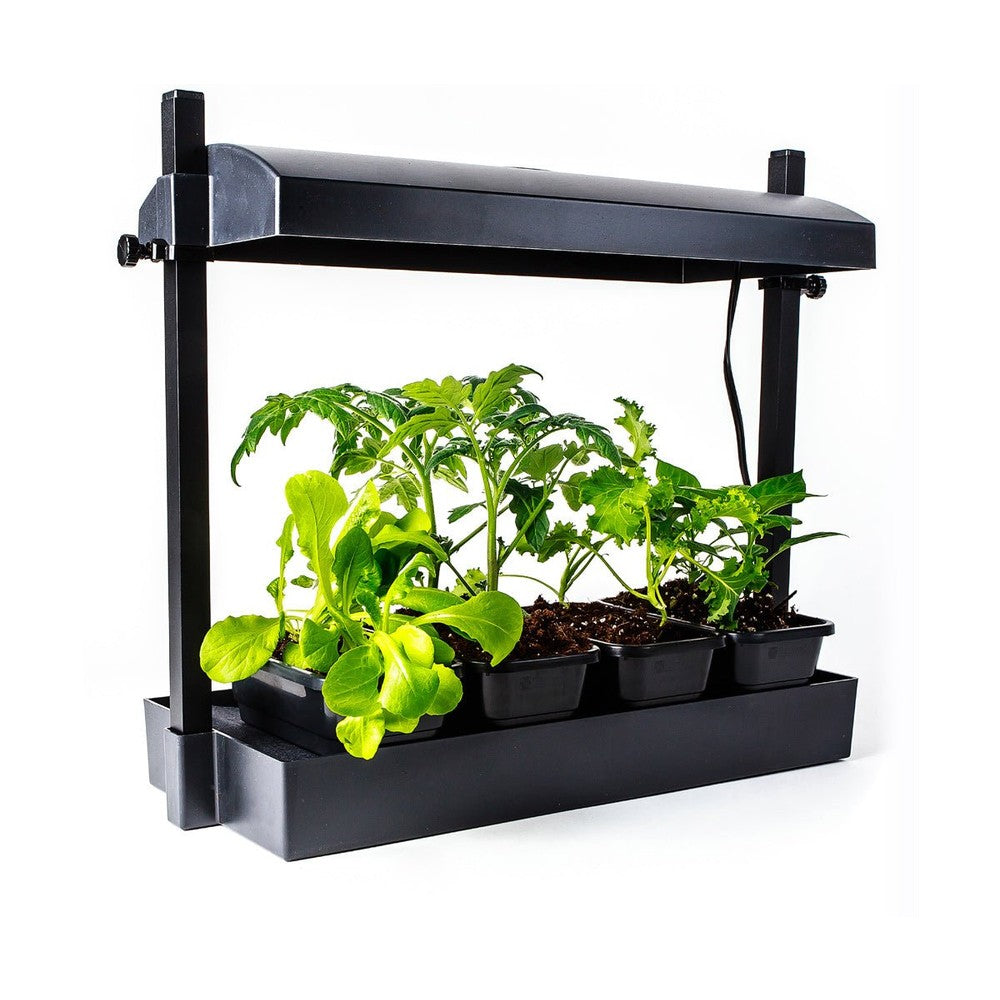 LED - Growlight Garden Micro - Black - Black Label Supply llc