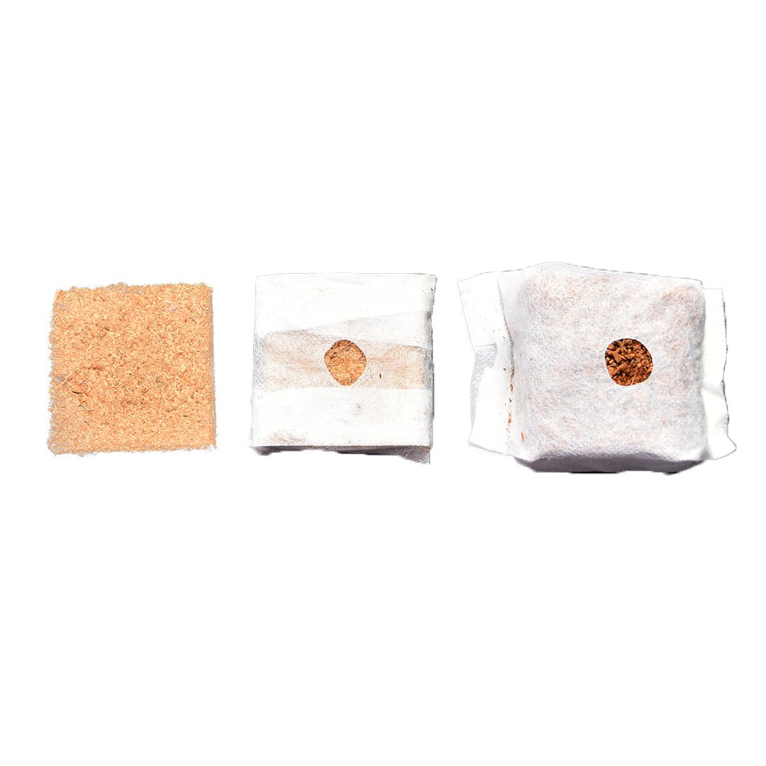 GroEzy 3 in coco grow cube in fabric bag