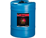 Cutting Edge Solutions Bloom - Black Label Supply llc