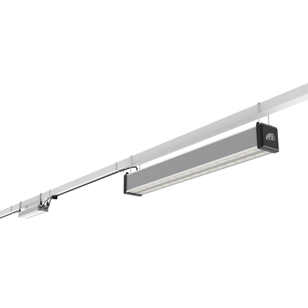Greenhouse / Highbay top lighting, 680w Mammoth Lighting Mint White Series with Emerald Green Canna Spectrum - Black Label Supply llc