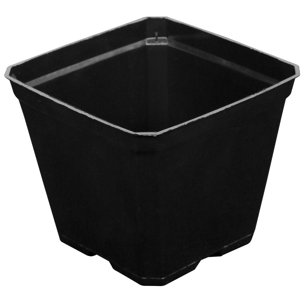 Gro Pro 3.5 in x 3.5 in x 3 in Plastic Pot Black (800/CS)
