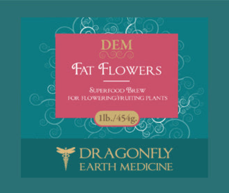 Dragonfly Earth Medicine - Fat Flowers