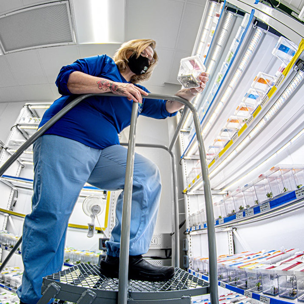 MONTEL - Leading Manufacturer of Mobile Storage Systems (CUSTOM PRICED AFTER ORDER) – Commercial Racking & Benching