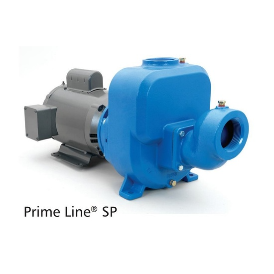 Goulds Pump Model 50SPM10 SP Series