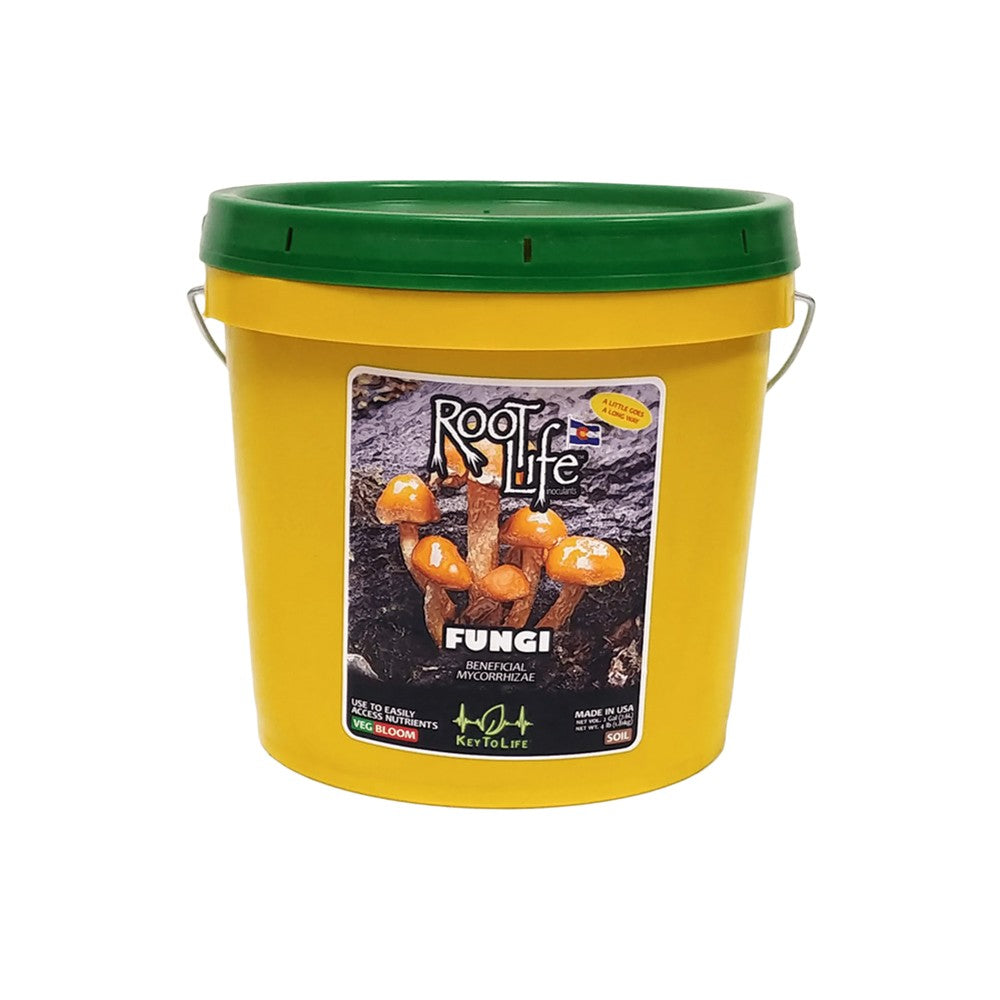 KEY TO LIFE - ROOT LIFE FUNGI - Black Label Supply llc