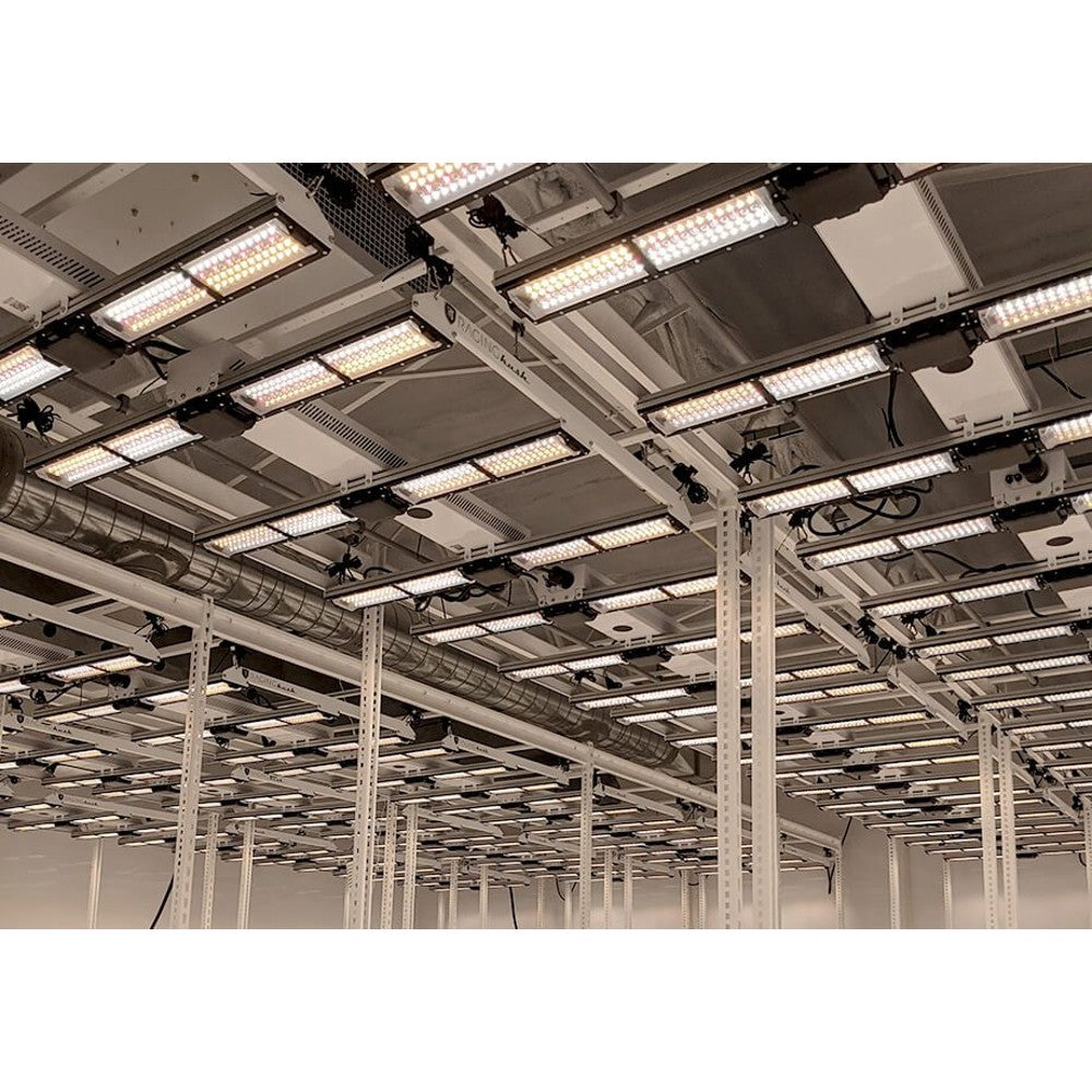 Scynce - Raging Kush II (120 degree optics) – LED - Bar Style