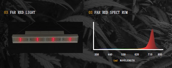 EST GH001 Pro - Black Label Supply llc