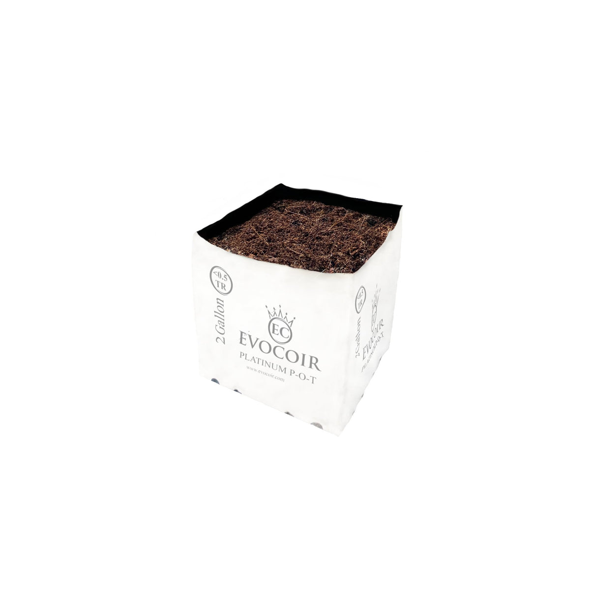 Evocoir Platinum P-O-T 70/30 coco open top bag - 2 gallon, expanded and planted