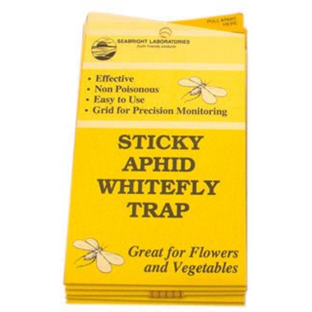 White Fly Traps, 5 pack - Black Label Supply llc