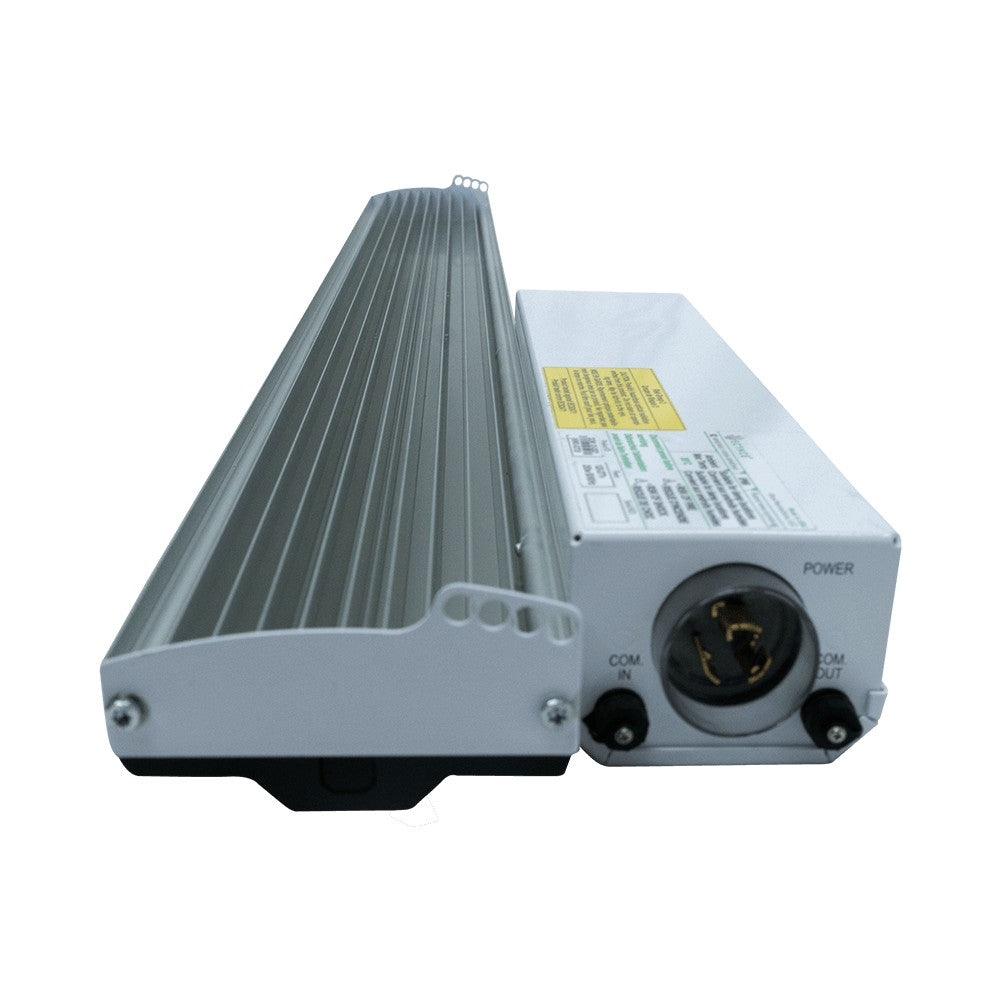 Scynce - Raging Kale II – LED - Top Light