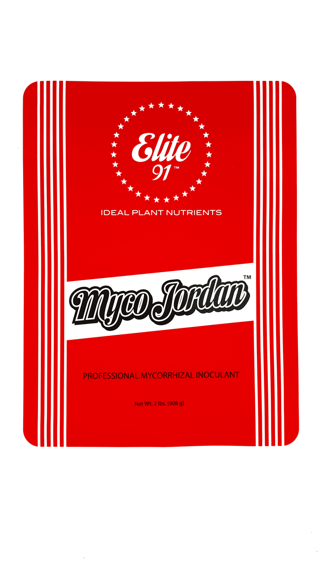 Elite 91 Myco Jordan - all sizes product shot