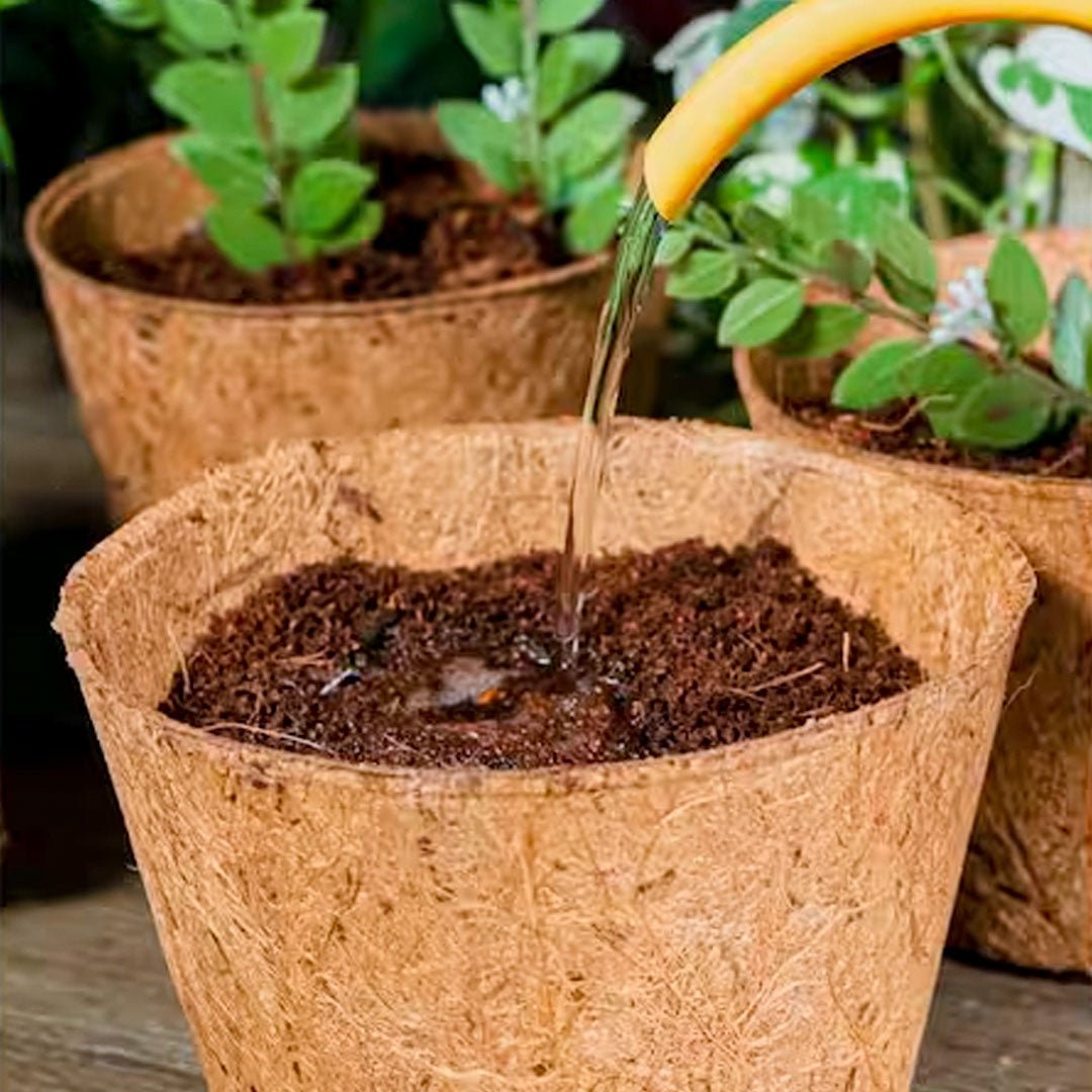 GroPot - 4 in Coco Fiber Grow Pot - product image 2