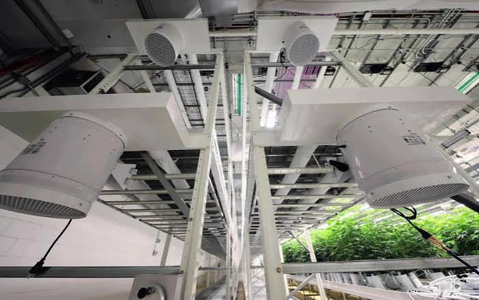 CM Horticulture Racking, Benching, Airflow & Cultivation Systems — Custom Design & Quote