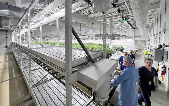 CM Horticulture Racking, Benching, Airflow & Cultivation Systems — Custom Design & Quote