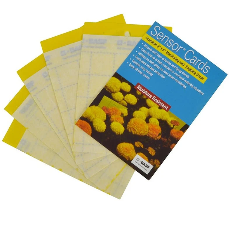 BASF - Sensor Card Yellow - 1 pack