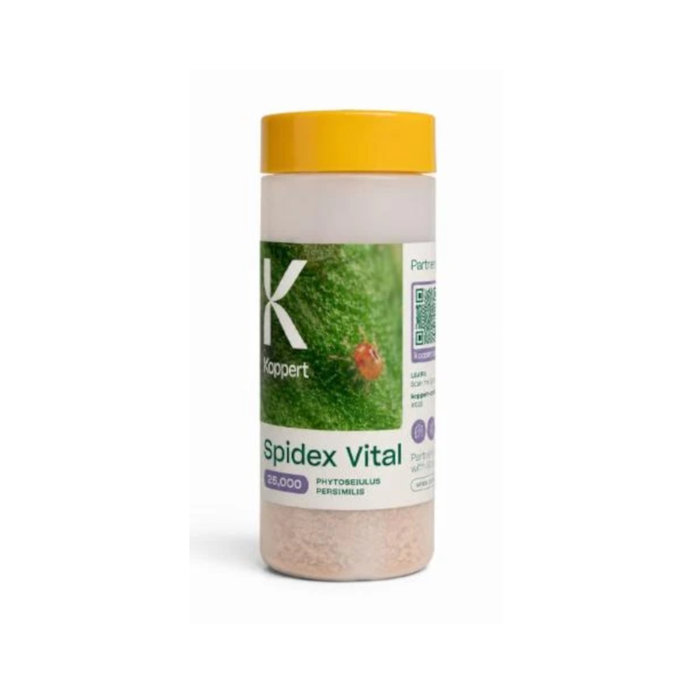 Koppert - Spidex Vital 25K